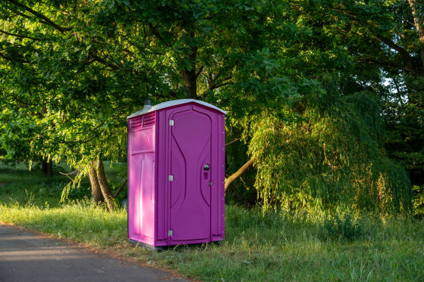 Best Porta potty delivery and setup  in Bellevle, IL